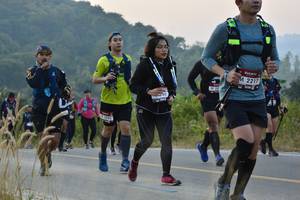 BIB: 2217, 497
                            <button type="button" onclick="openModal(6881320)" class="btn btn-primary btn-sm float-right btn-popup" data-toggle="modal" data-target=".modal-high-quality">
                        <i class="fas fa-shopping-cart"></i> Add to Cart
                    </button>
                                            <button type="button" onclick="isThisMe(6881320, true)" class="btn btn-success btn-sm float-right btn-popup btn-isme hidden" data-toggle="tooltip" data-placement="bottom" title="นี่คือรูปของคุณใช่ไหม คลิกที่นี่เพื่อเอาเข้าอัลบั้ม">
                        <i class="fas fa-plus"></i> Add to album
                    </button>
                    <button type="button" onclick="isThisMe(6881320, false)" class="btn btn-warning btn-sm float-right btn-popup btn-isnotme hidden">
                        <i class="fas fa-ban"></i> Remove from album
                    </button>